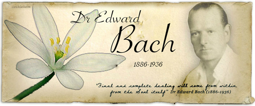 Bach kimdir